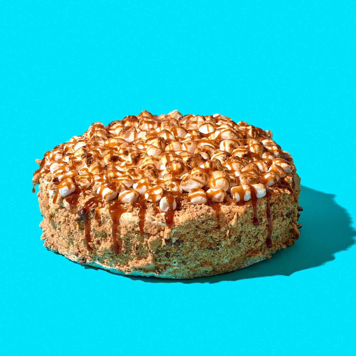 Gimme S'more Cake